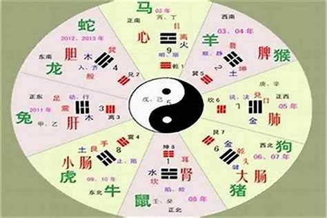 一字五行属什么|一字的五行是什么,一的五行属性及吉利寓意